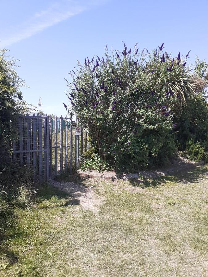 Plum Tree Cottage, Kinmel Bay المظهر الخارجي الصورة